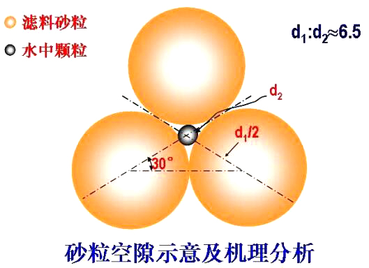 砂?？障妒疽饧皺C(jī)理分析